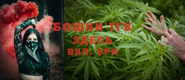сатива Белокуриха