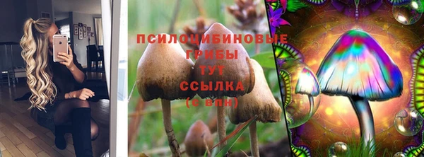 дмт Беломорск