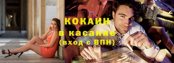 сатива Белокуриха