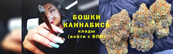 сатива Белокуриха