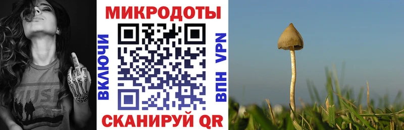 мориарти официальный сайт  Ковылкино  Псилоцибиновые грибы Magic Shrooms 